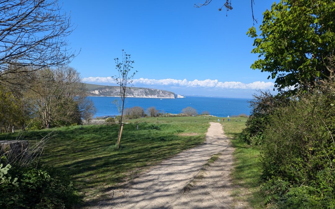 World Mental Health Day & ADHD Awareness Month: Looking Back on My Own Mental Health Journey